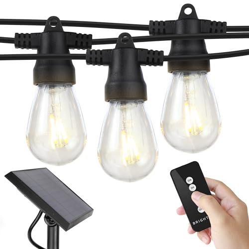 Brizled Solar String Lights G40 48ft