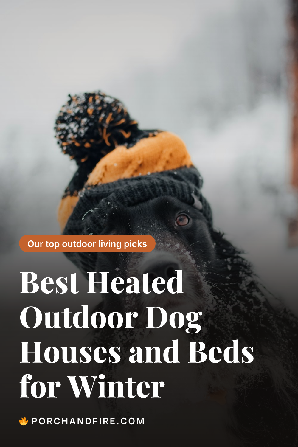 Best Heated Outdoor Dog Houses and Beds for Winter