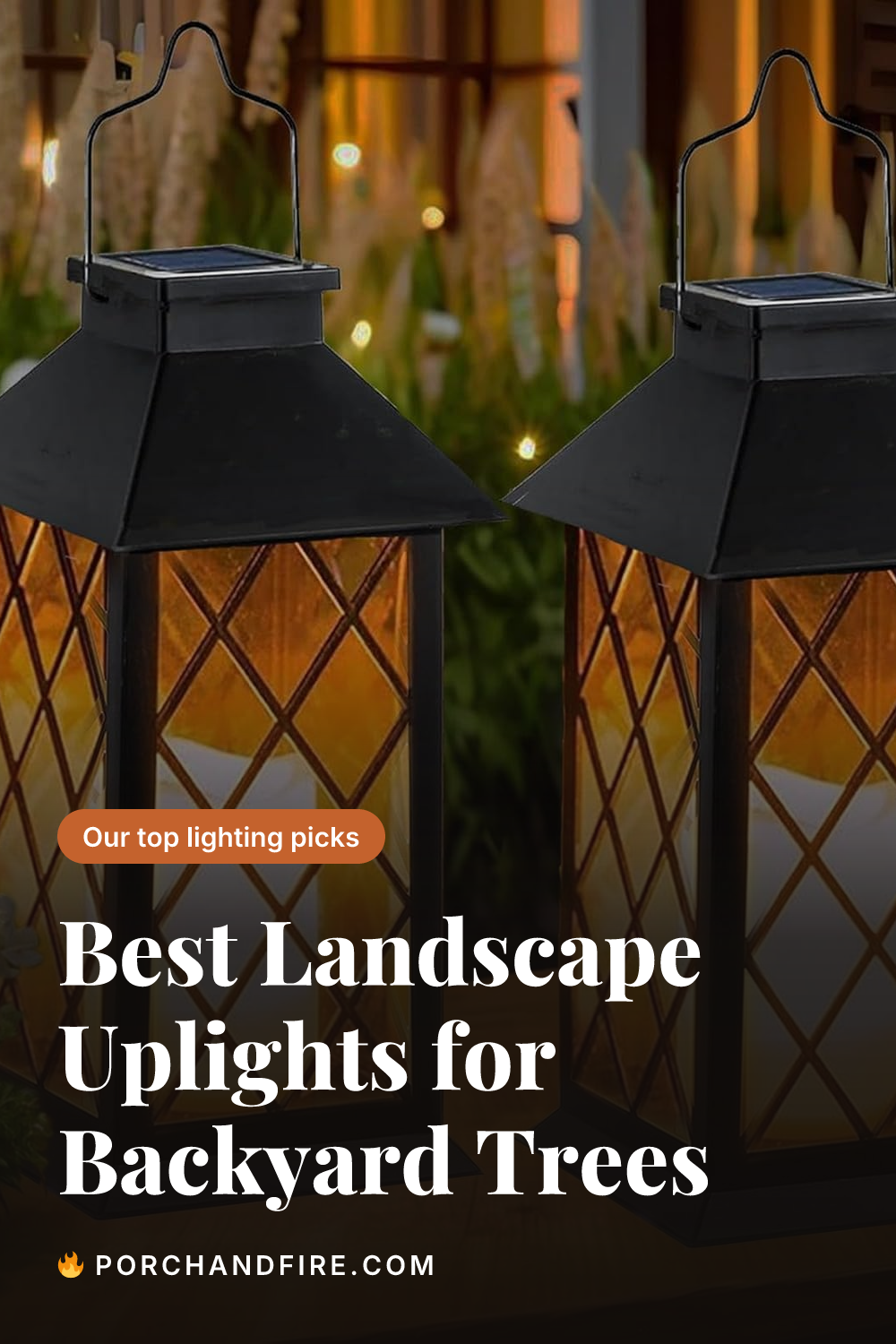 Best Landscape Uplights for Backyard Trees