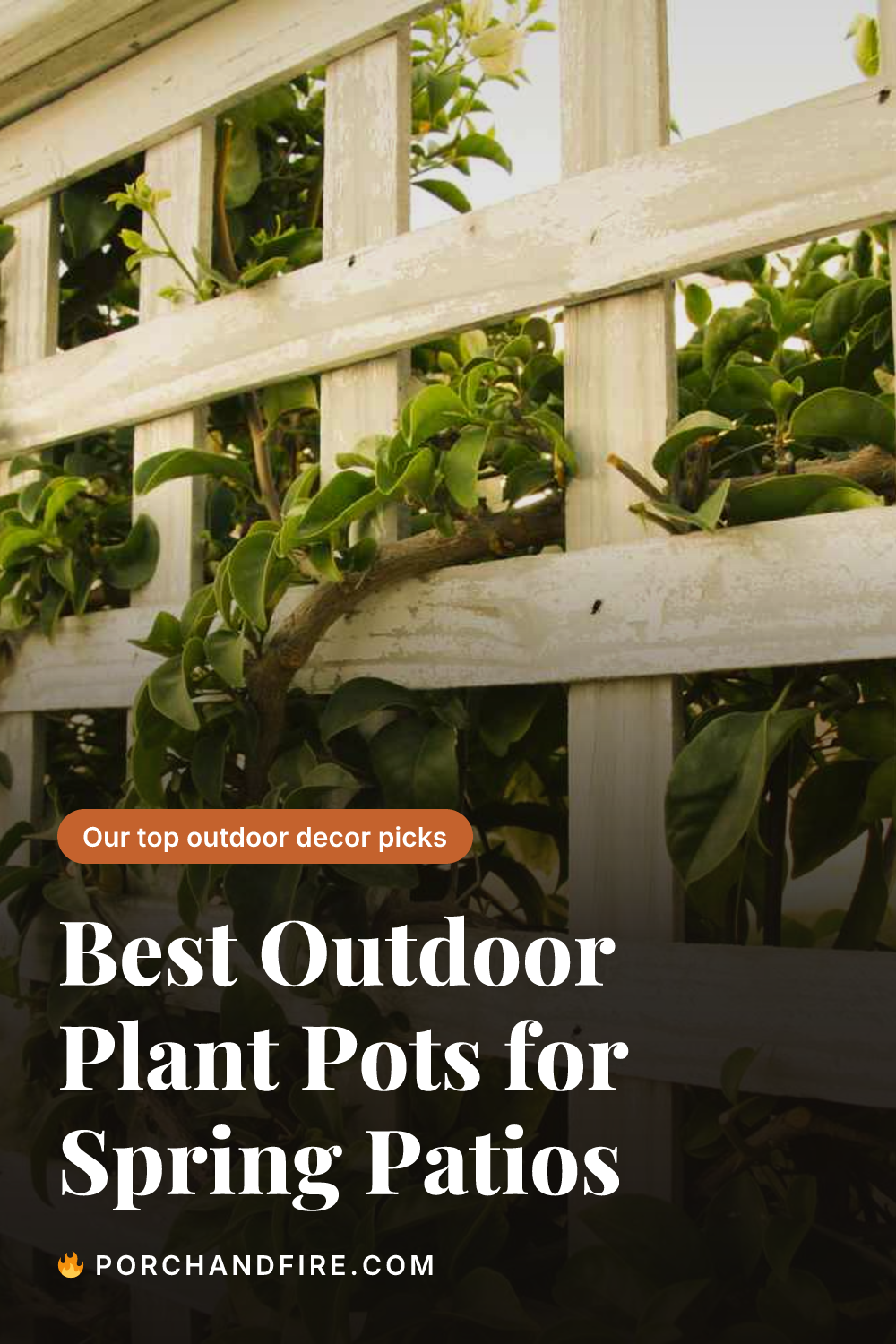 Best Outdoor Plant Pots for Spring Patios