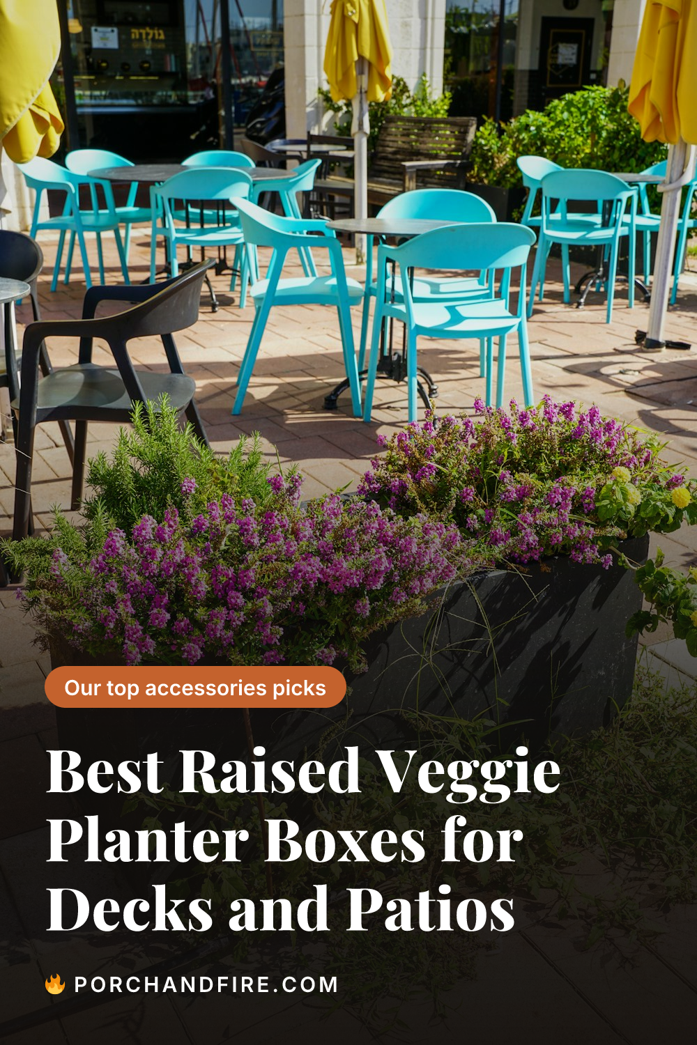 Best Raised Veggie Planter Boxes for Decks and Patios