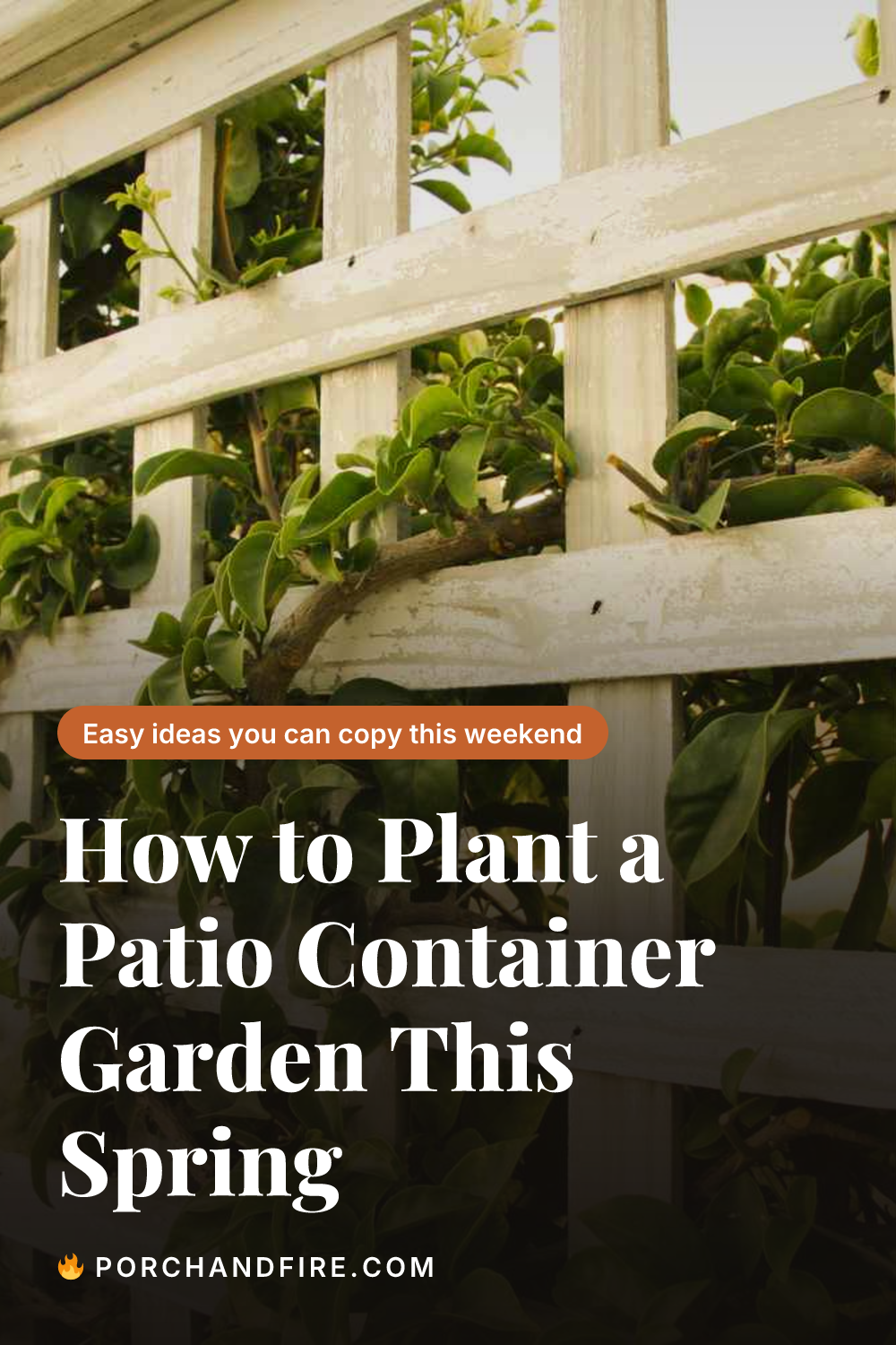 How to Plant a Patio Container Garden This Spring
