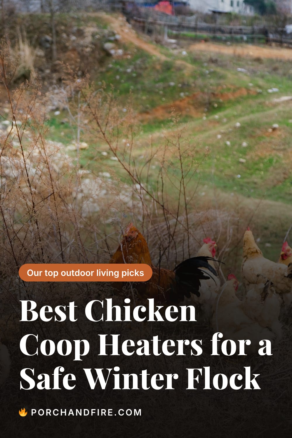 Best Chicken Coop Heaters for a Safe Winter Flock