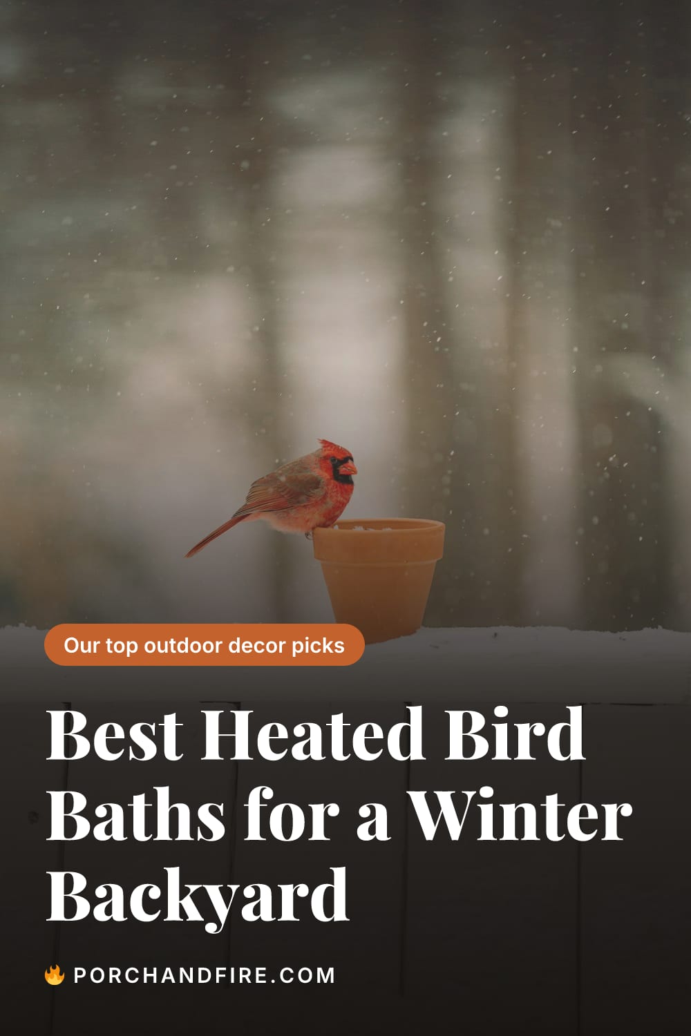 Best Heated Bird Baths for a Winter Backyard