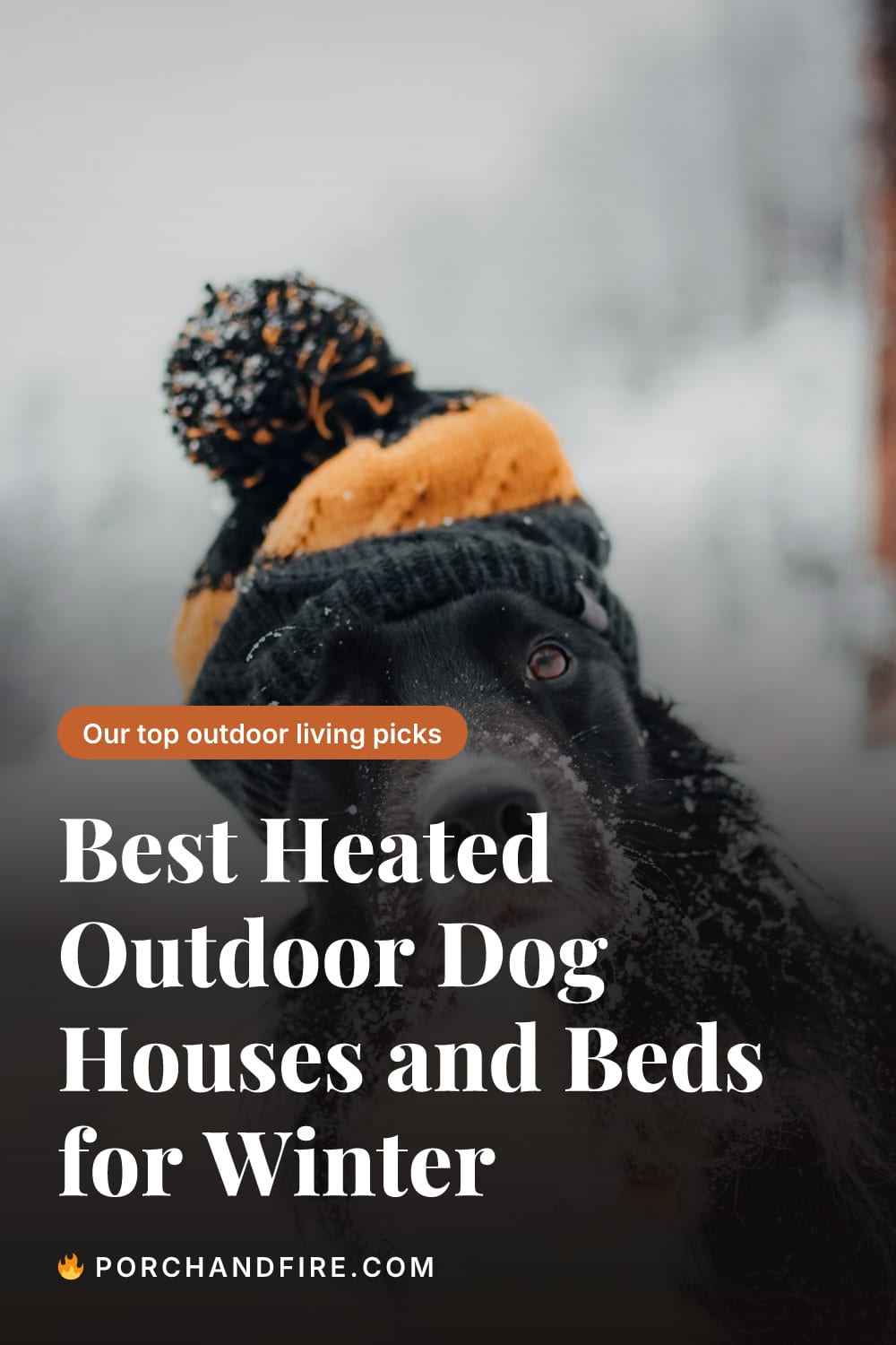Best Heated Outdoor Dog Houses and Beds for Winter