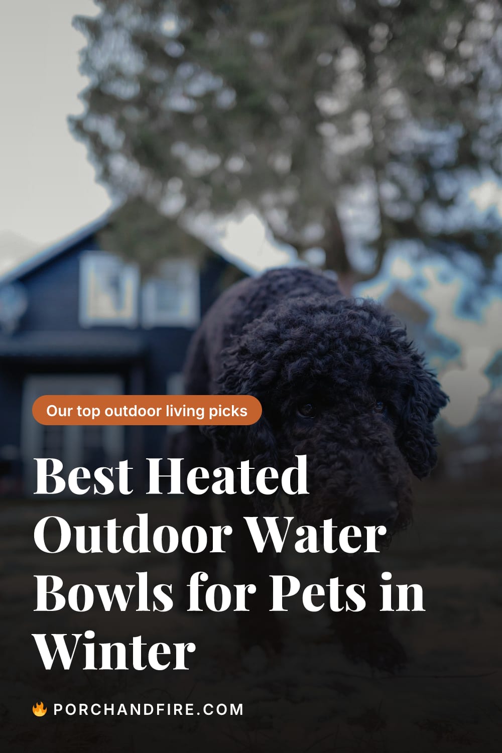 Best Heated Outdoor Water Bowls for Pets in Winter