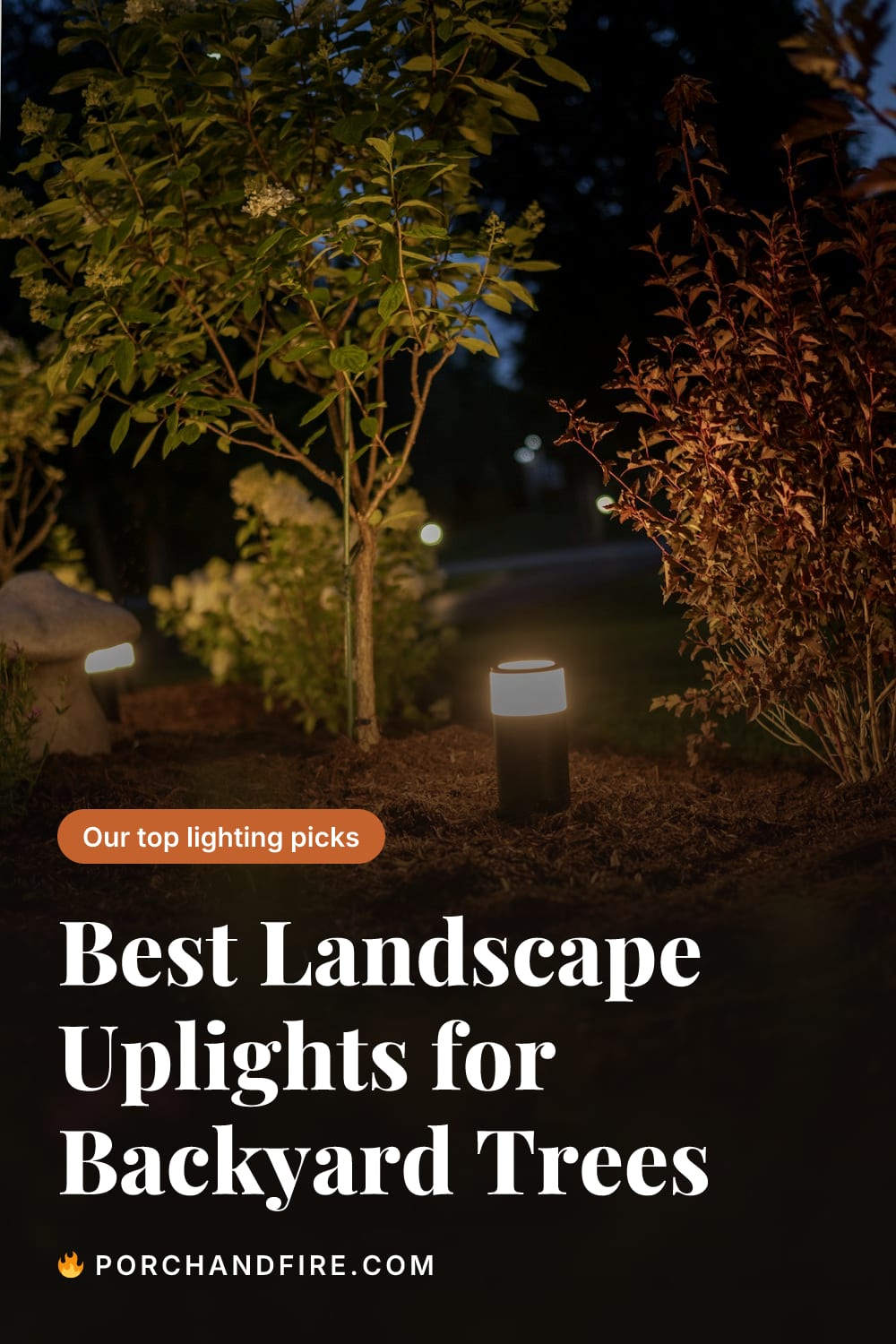 Best Landscape Uplights for Backyard Trees