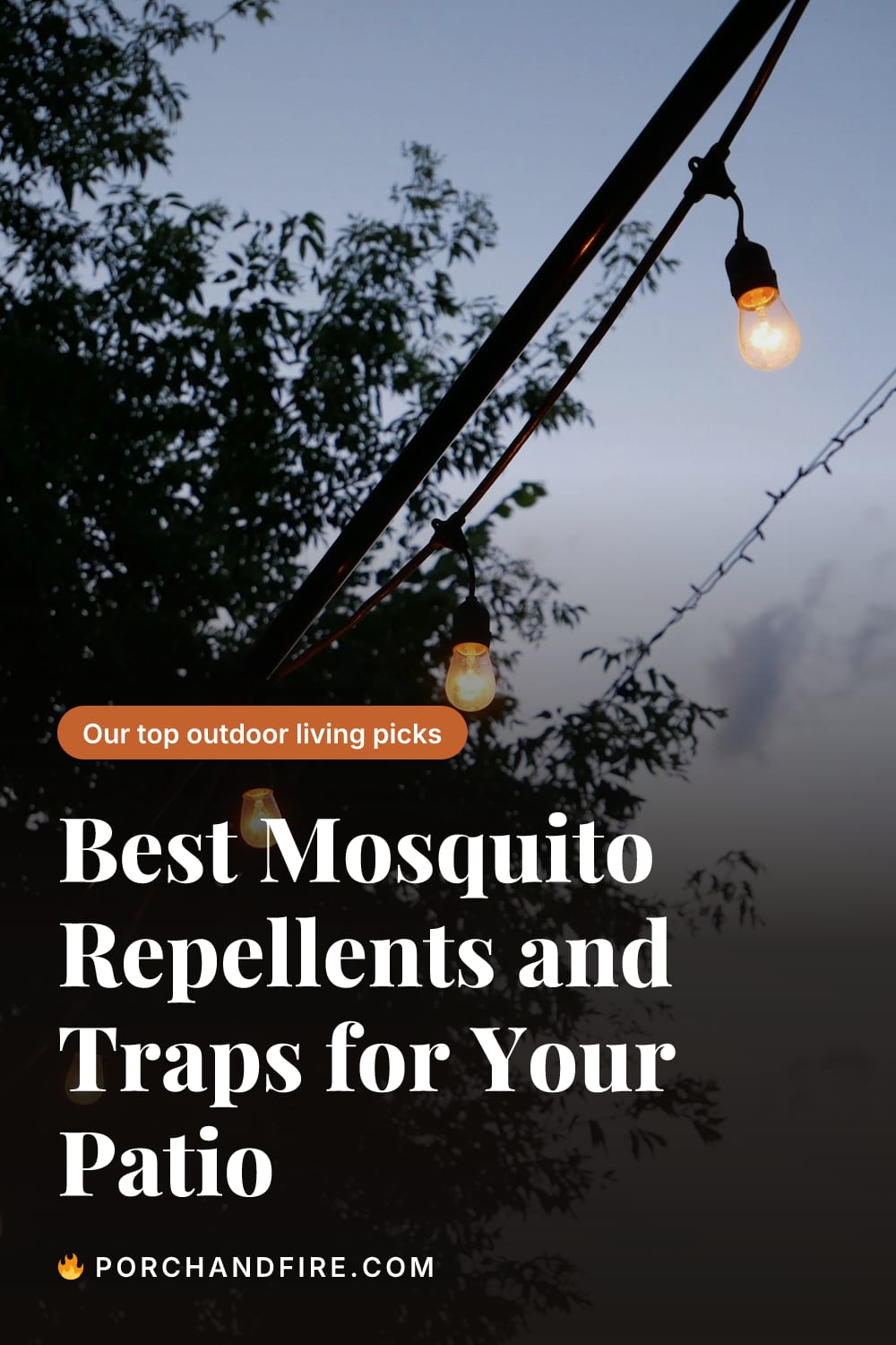 Best Mosquito Repellents and Traps for Your Patio (2026)