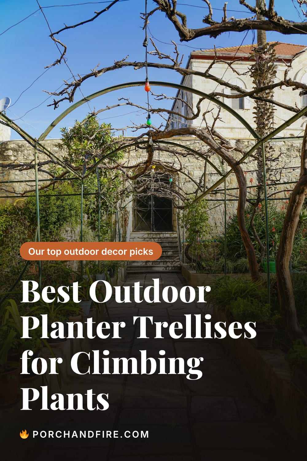 Best Outdoor Planter Trellises for Climbing Plants