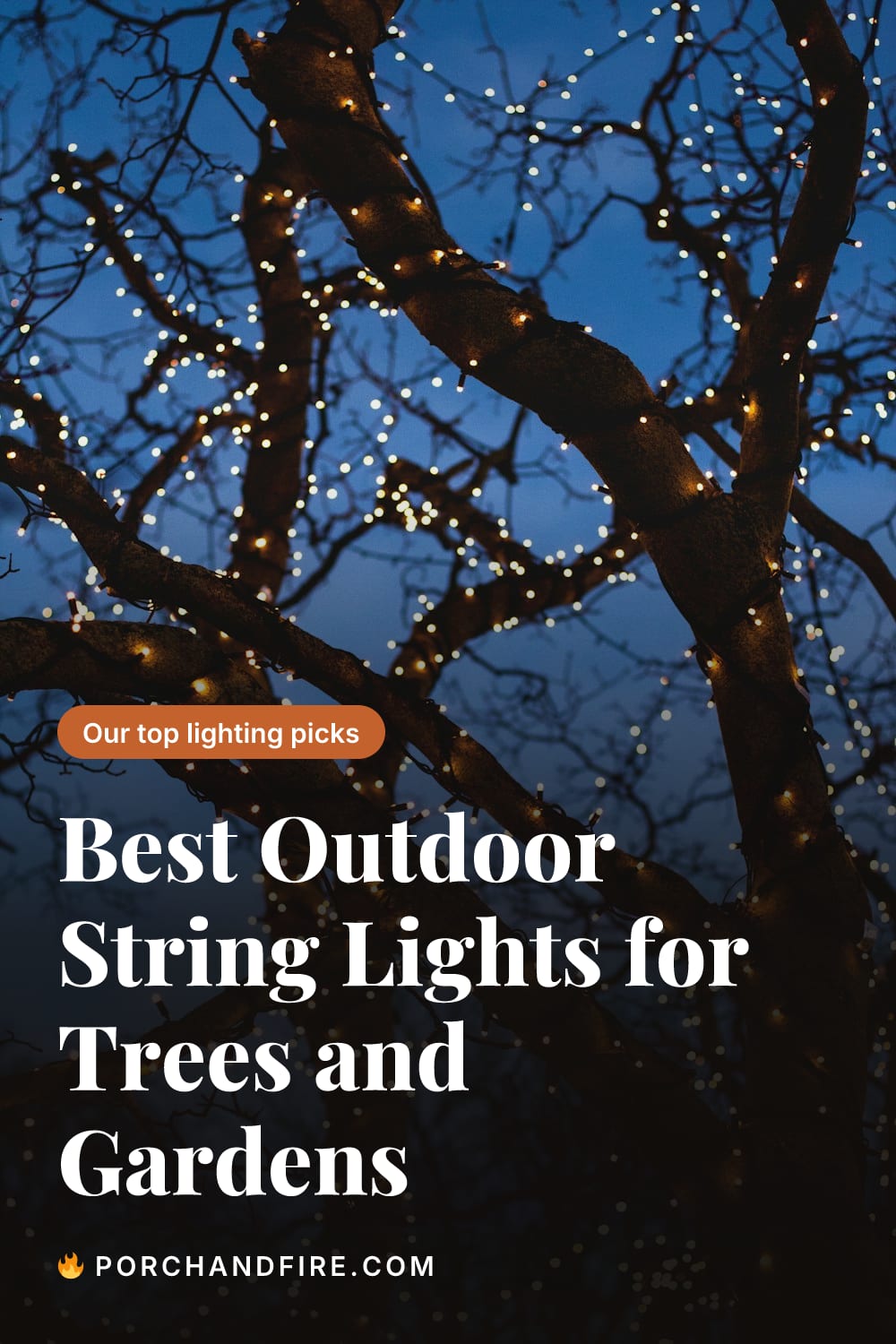 Best Outdoor String Lights for Trees and Gardens