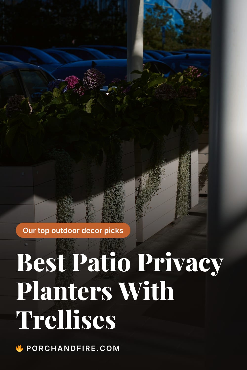 Best Patio Privacy Planters With Trellises