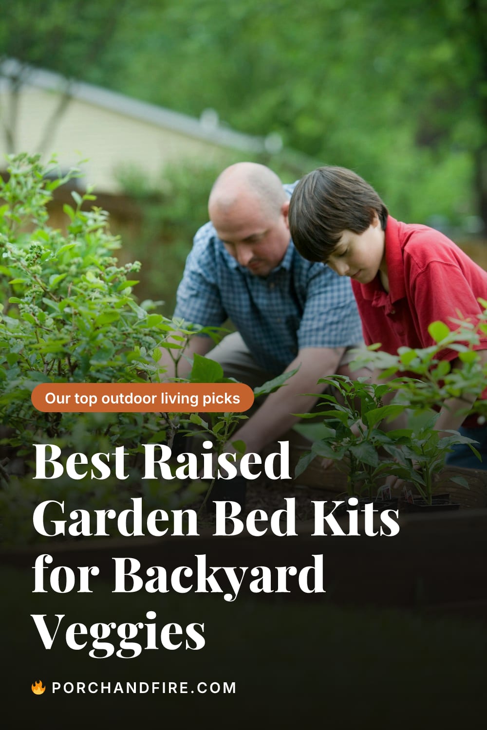 Best Raised Garden Bed Kits for Backyard Veggies