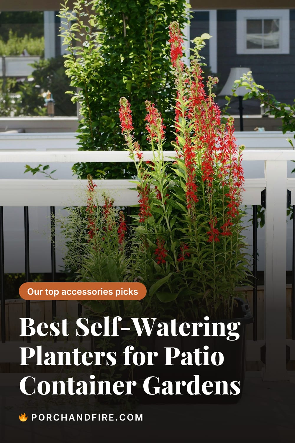 Best Self-Watering Planters for Patio Container Gardens