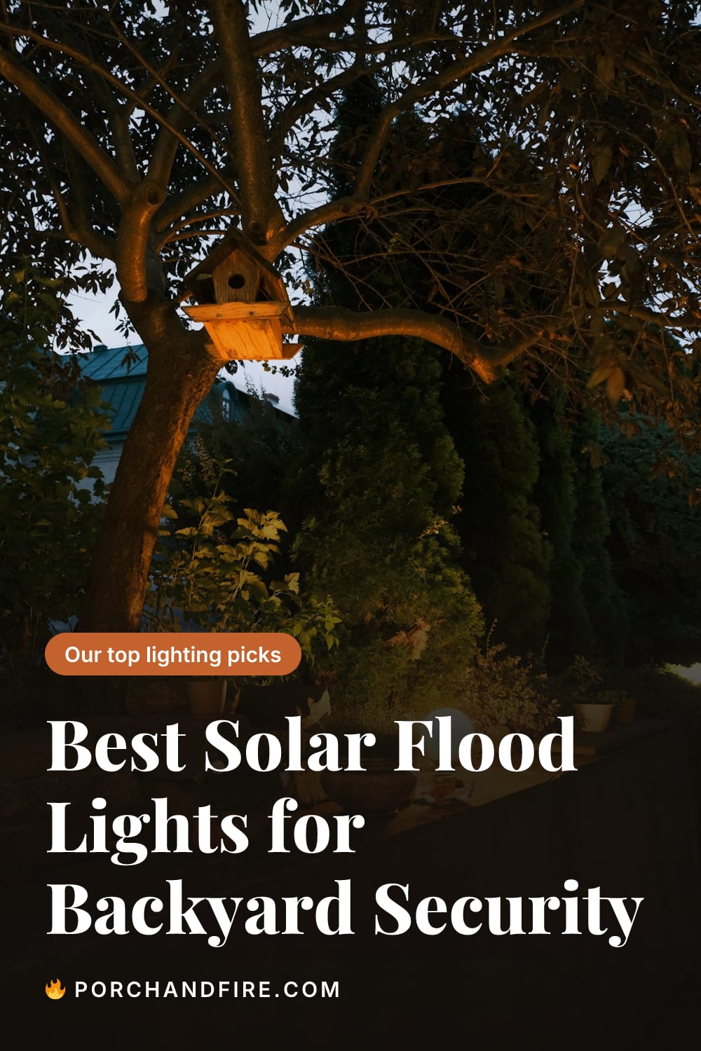 Best Solar Flood Lights for Backyard Security