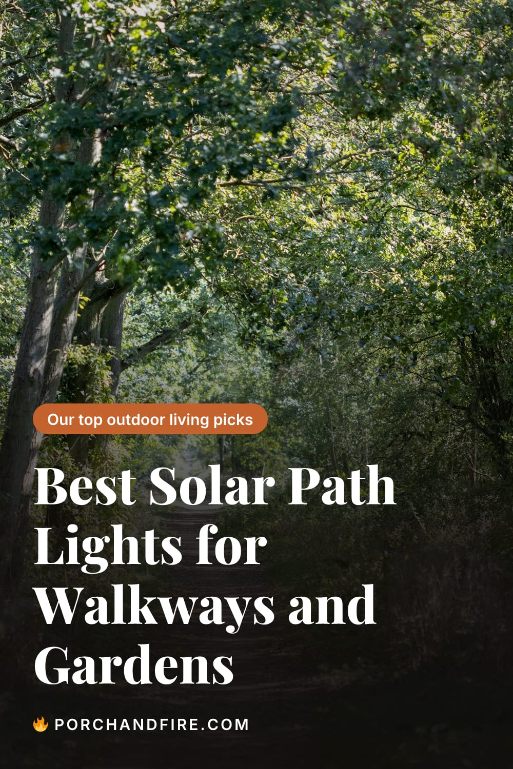 Best Solar Path Lights for Walkways and Gardens (2026)