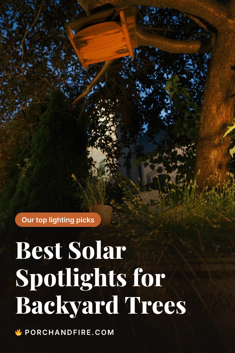 Best Solar Spotlights for Backyard Trees 2026