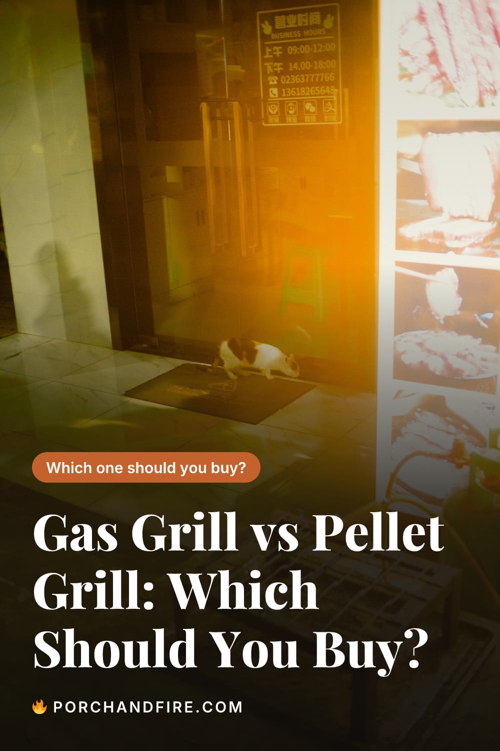 Gas Grill vs Pellet Grill: Which Should You Buy?