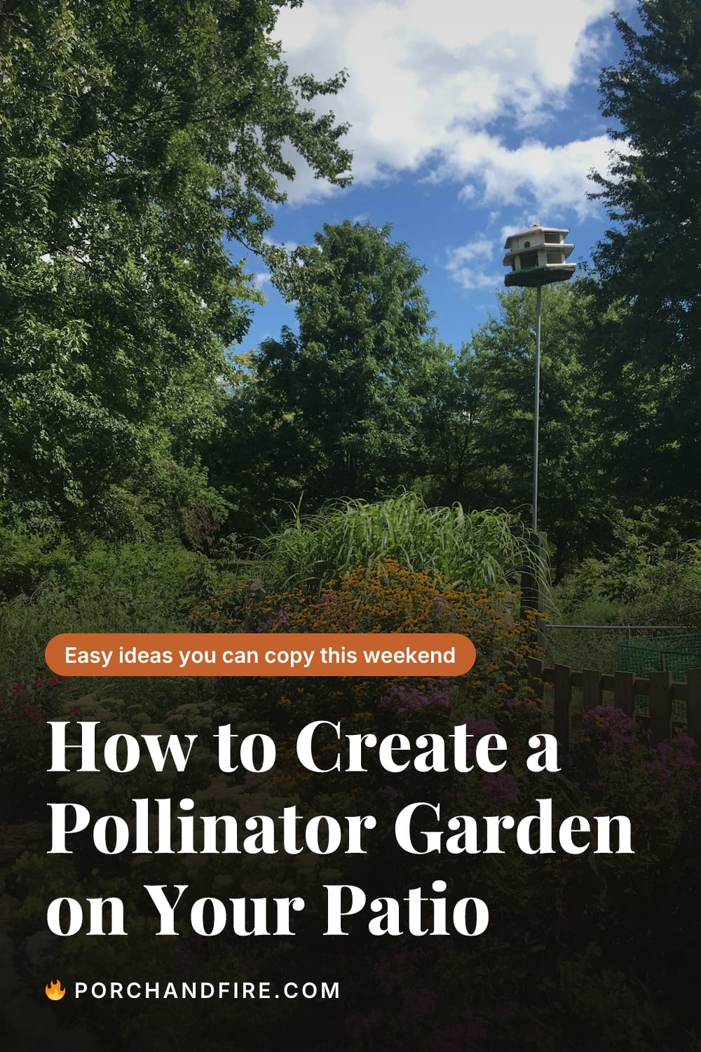 How to Create a Pollinator Garden on Your Patio