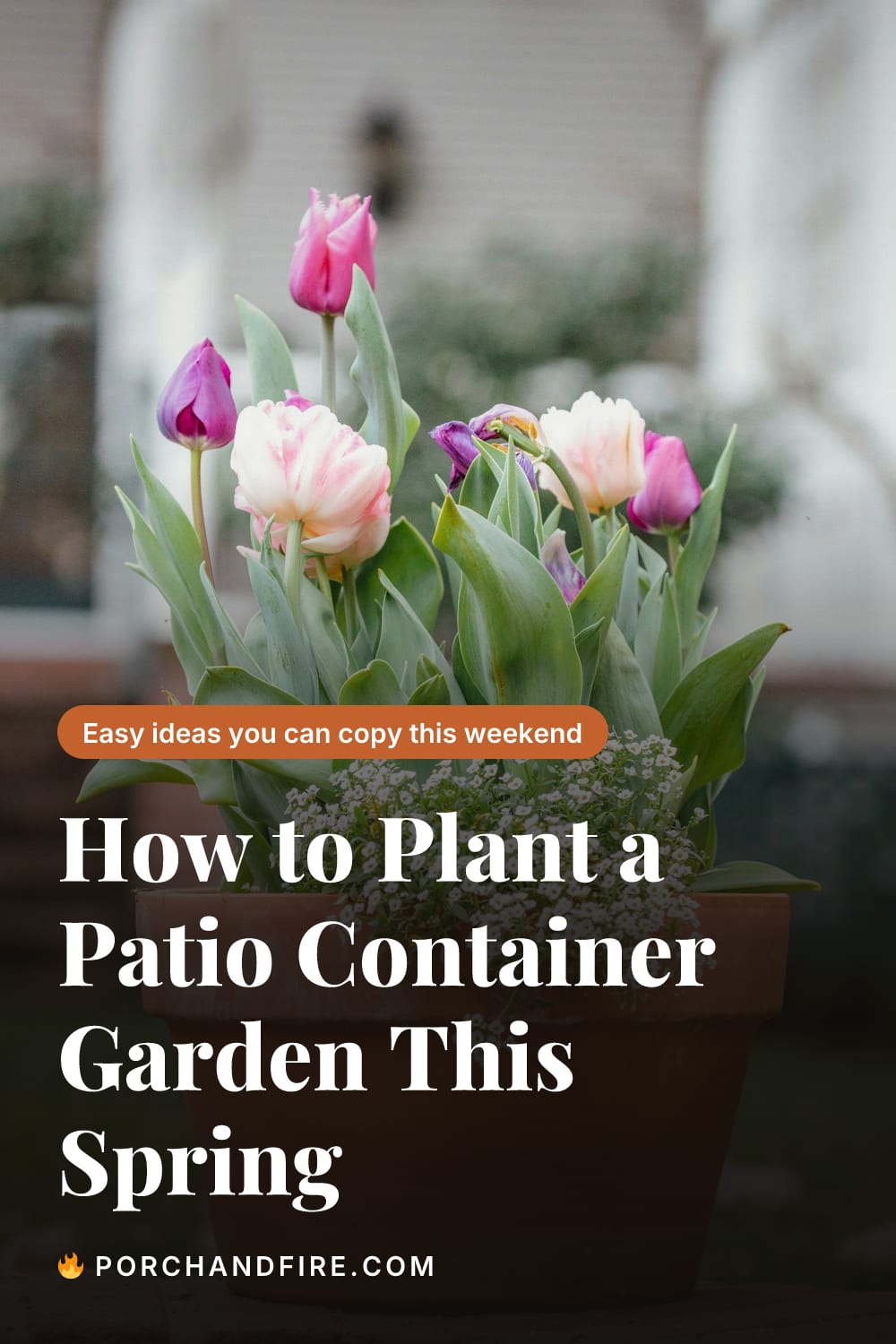 How to Plant a Patio Container Garden This Spring
