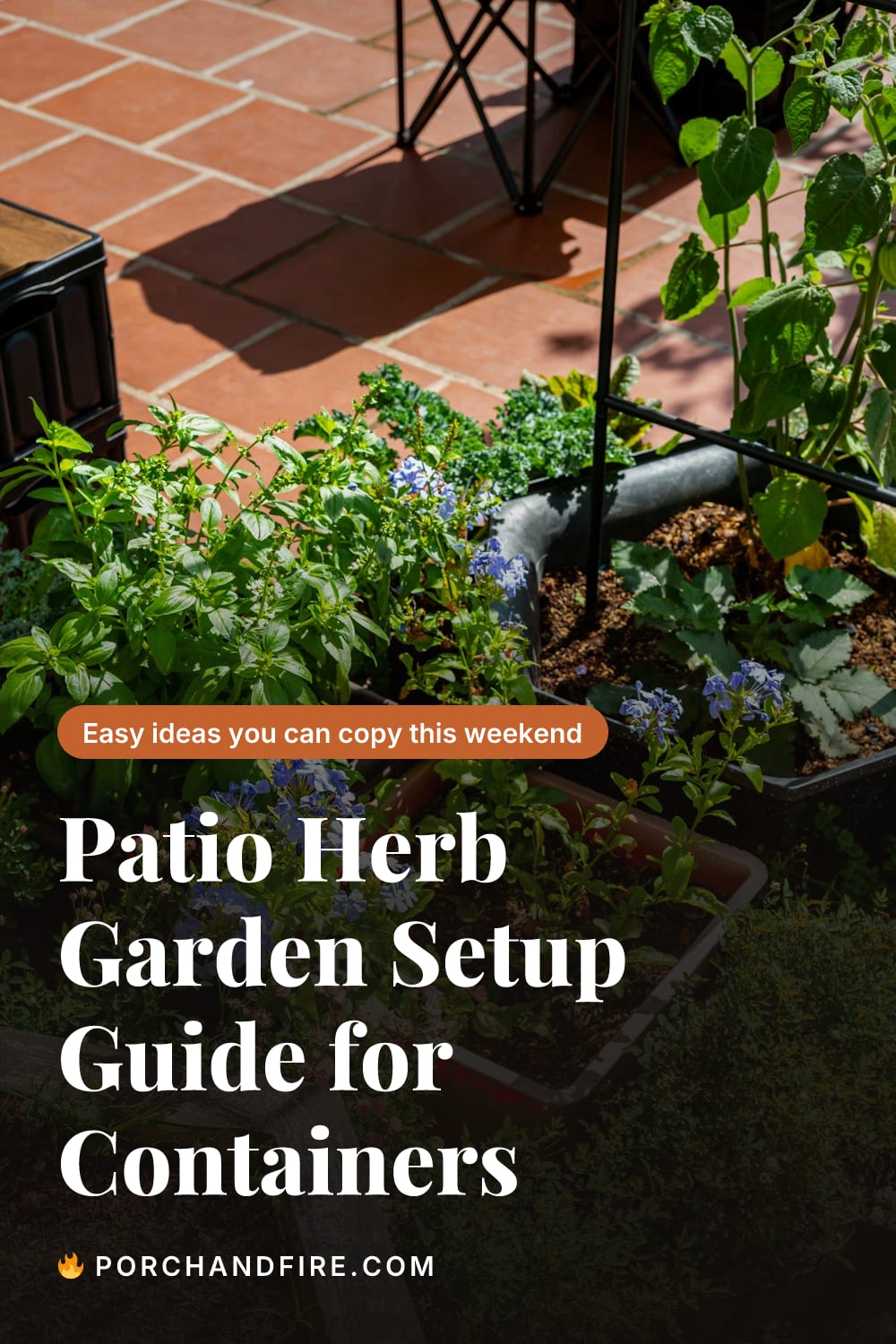 Patio Herb Garden Setup Guide for Containers