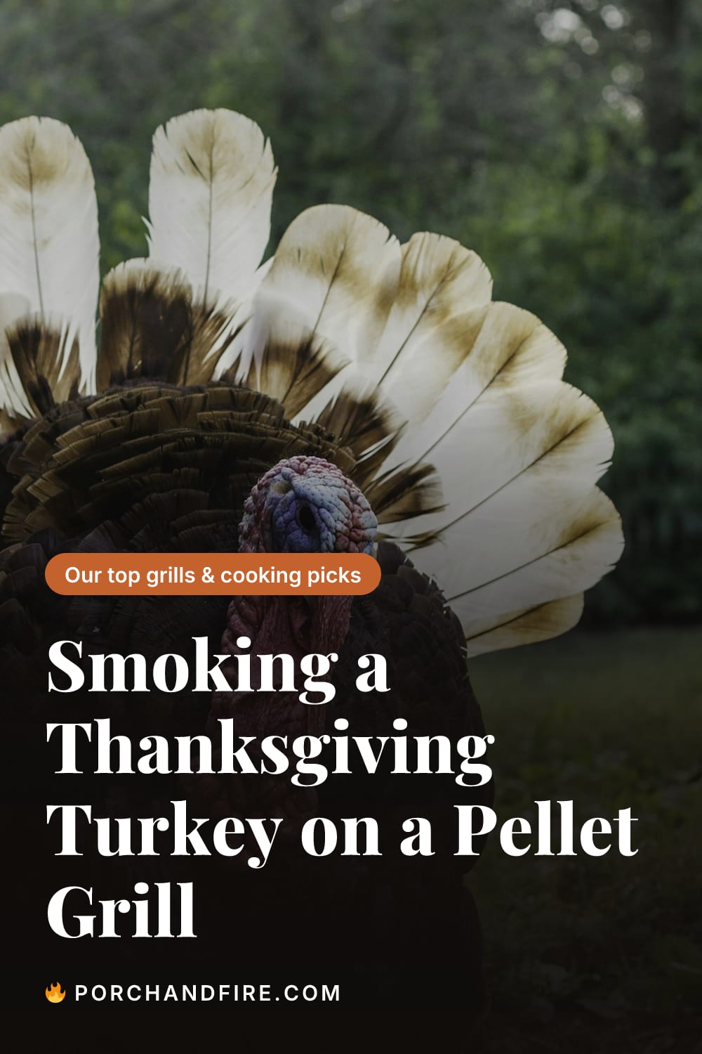 Smoking a Thanksgiving Turkey on a Pellet Grill